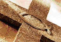 clm logo